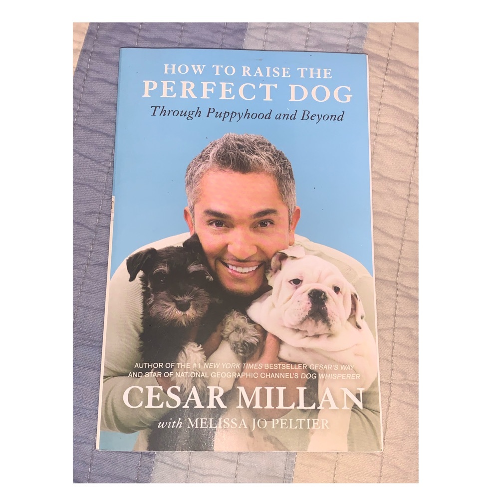 Lot of 3 books Caesar Millan’s Dog Guide Books